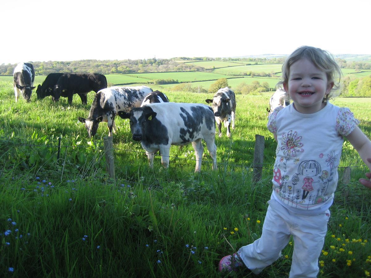 Three Gates Farm Holiday Cottages Huntsham Luaran gambar